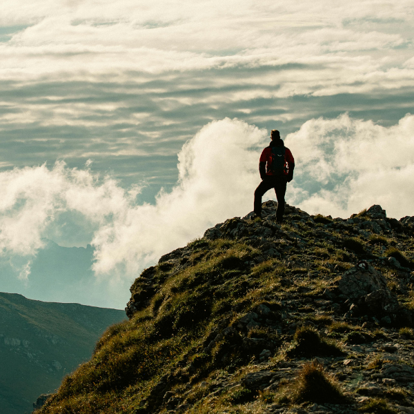 What Is Real Sustainable Leadership?
